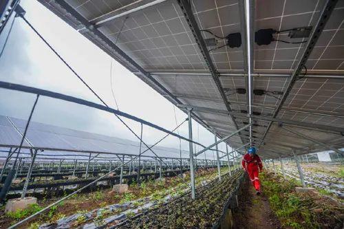 中國(guó)十三省最大光伏電站在這里！欽州康熙嶺的光伏電站能排上號(hào)了嗎？
